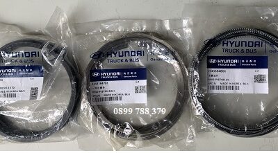 bạc séc măng bộ hơi xe đầu kéo D6CF D6CK