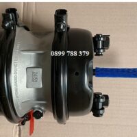 bầu lốc kê sau (2)