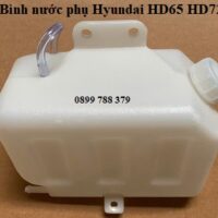 bình nước phụ hd72