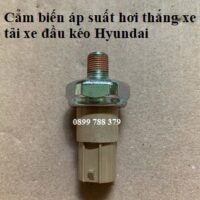 cảm biến áp suất hơi 6b100