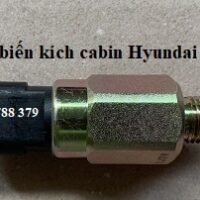 cảm biến kích cabin trago - báo de county