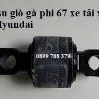 cao su giò gà phi 67