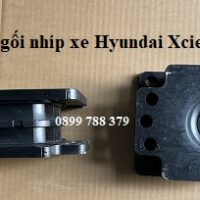 cao su gối nhíp 2 tép xcient