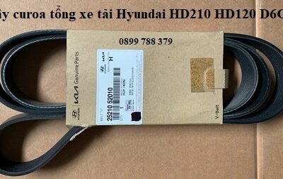 2521052010 dây curoa tổng xe tải Hyundai HD210 D6GA