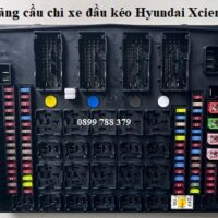 hộp cầu chì xcient