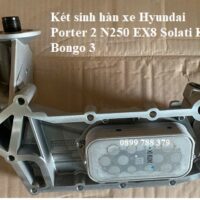 két sinh hàn porter2 n250 bongo3 ex8 solati (2)