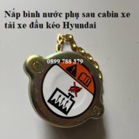 nắp bình nước phụ 15t