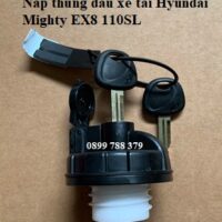 nắp thùng dầu ex8 110s
