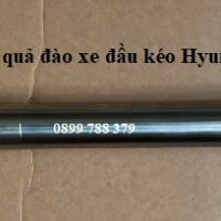 trục quả đào 25 răng